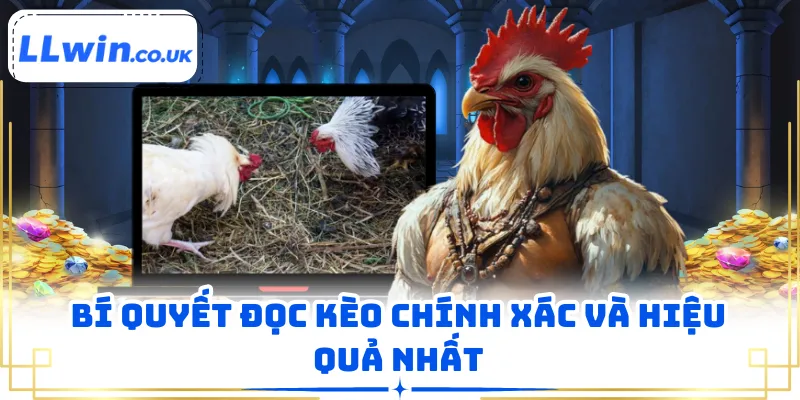 Bí quyết đọc kèo chính xác và hiệu quả nhất