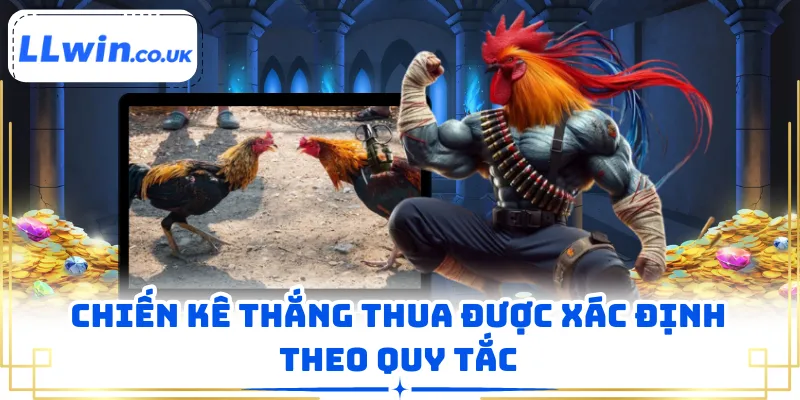Chiến kê thắng thua được xác định theo quy tắc