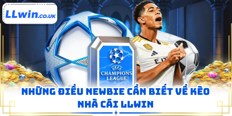 Những điều newbie cần biết về kèo nhà cái LLWIN